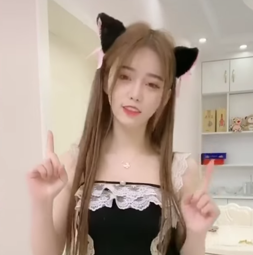 lĩnh vực hoạt động